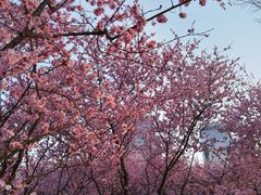 -白塘生态植物园