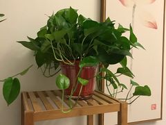 -梵舍·沙浴养生SPA