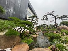 -罗红摄影艺术馆