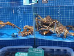 -七鲜超市(通州ONE店)