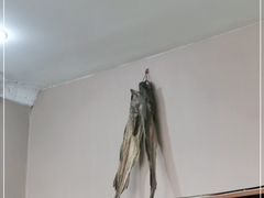 -故乡明太鱼屋(航北路店)