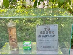-广州神农草堂中医药博物馆