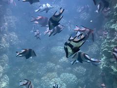 -海合安青岛极地海洋公园