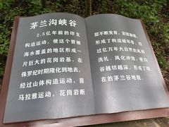 -茅兰沟国家森林公园