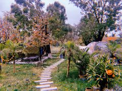 -Supine Bistro溯泮餐厅