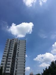 点击看大图 -番小茄小儿推拿(望京店)