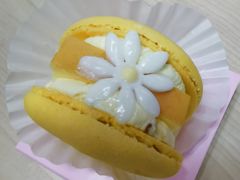 -好利来(清华南门店)