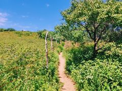 -阳台山自然风景区