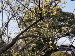 -无锡梅园公园
