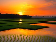 -如一鸡鲍鱼·粤式煲汤(长泰广场店)