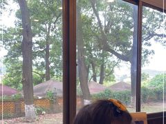 -顺风山庄(水濂山店)