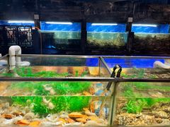 -V-ONE西雅图海鲜自助餐厅(仓山万达广场店)