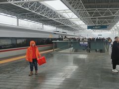 -岳阳东站