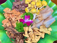 -大理董·董家小厨野生菌火锅(古城旗舰店)