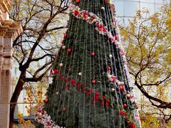 -王府井天主教堂