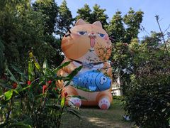 -广州兰圃