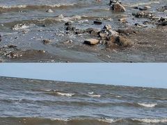 -天津东疆湾沙滩景区