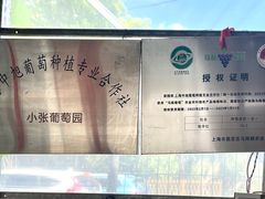 -马陆小张葡萄园农家乐