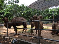 -广东茂名森林公园