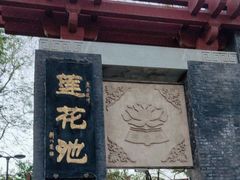 -莲花池公园