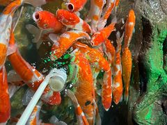 -太平洋海底世界