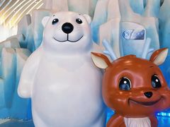 -湘江欢乐城欢乐雪域