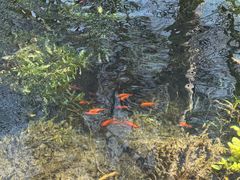 -水磨沟公园