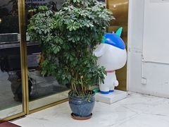 -美可普口腔医院(东街分店)