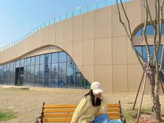 -九龙湖公园