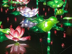 -横店影视城梦幻谷园区