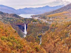 -Alexander McQueen(IAPM环贸广场店)