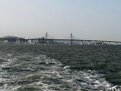 -港珠澳大桥(珠海段)