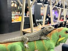 -FAIRYLAND龙族星球主题餐厅(凯丹广场店)