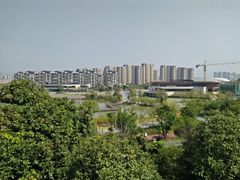 -飞凤山奥体公园