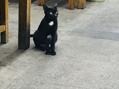 -87号烧烤海鲜·大排档(金沙滩店)