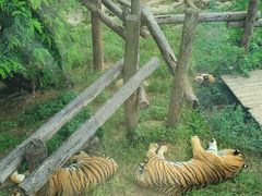 -大连森林动物园