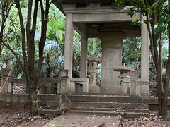 -苏州上方山国家森林公园
