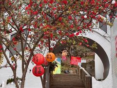 -桃源山庄·水蜜桃采摘·柴火鸡·烧烤团建(龙泉山店)