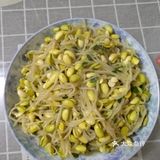 家里的黄豆芽又种出来了清炒黄豆芽上线
