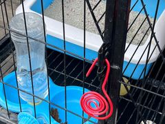 -固驰顺淼汽车贴膜改色·隐形车衣·玻璃贴膜