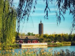 -西海子公园