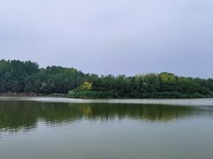 -塘沽森林公园