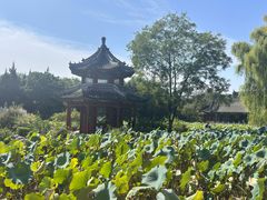 -莲池书院博物馆