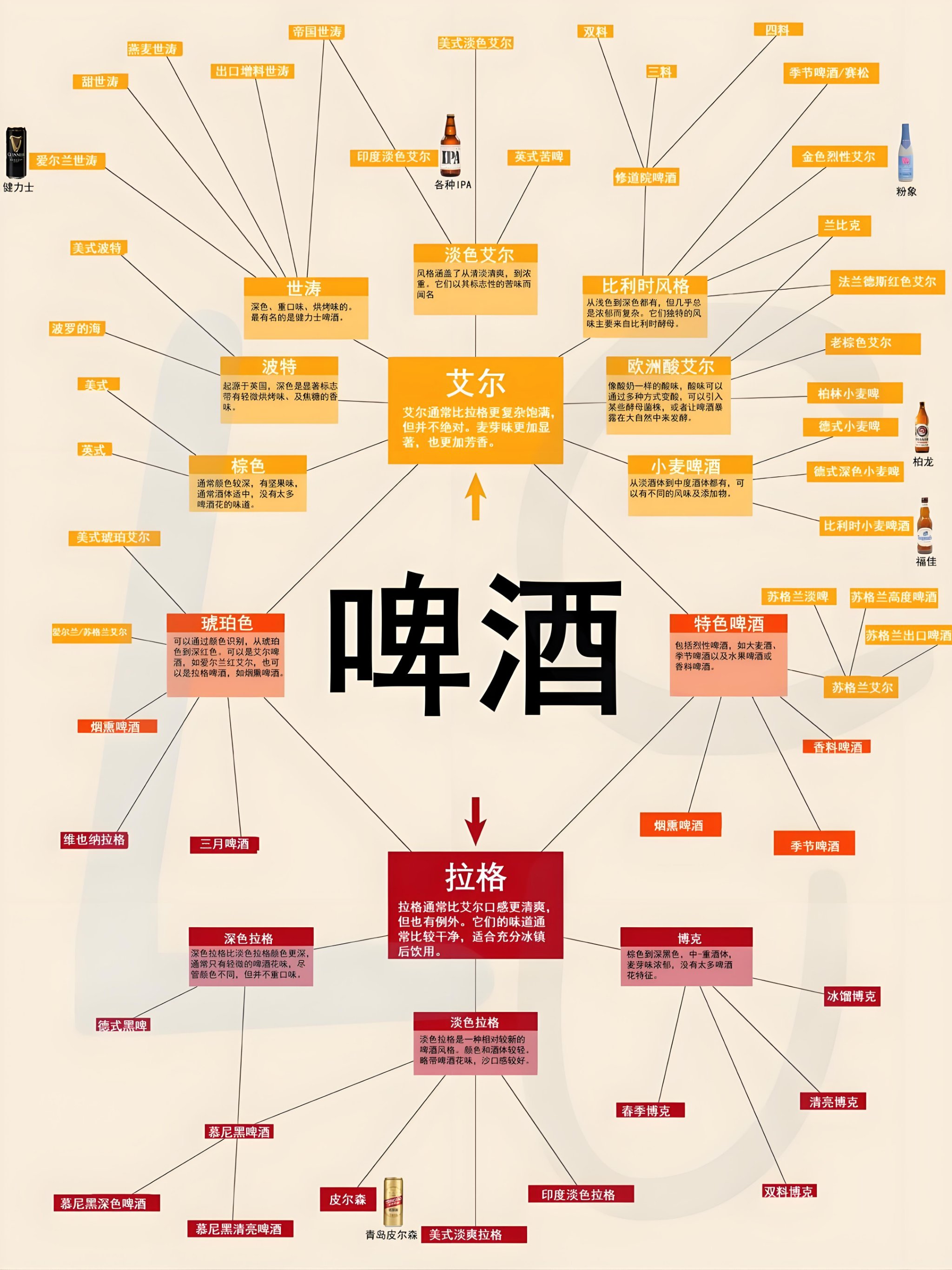 各种啤酒图片大全介绍图片