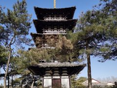 -北京世界公园