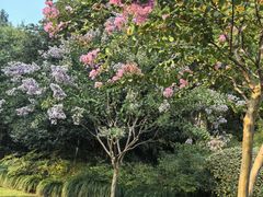 -杭州城北体育公园