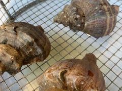 -海味当家·蒸锅海鲜(星海公园店)