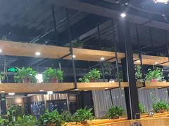 -桃源村铁锅炖鱼(体育馆道店)