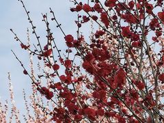 -蜀冈西峰生态公园