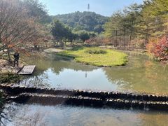 -田野绿世界